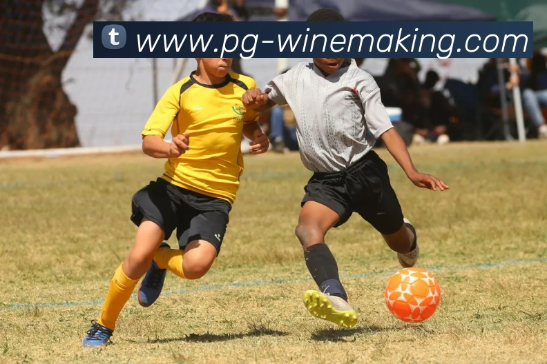 pg电子平台生态图